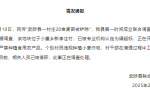 河南武陟县一村庄20亩麦苗被铲除？官方：相关人员已被停职