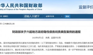 违法违规新增隐性债务!财政部公开曝光六起典型案例