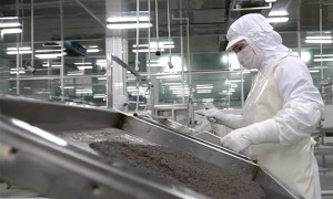 美媒:中国鱼子酱和鹅肝震撼全球美食界,这正是中国政策的成果